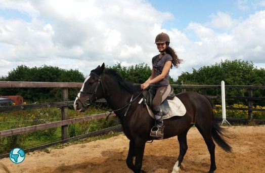 france colonie cheval