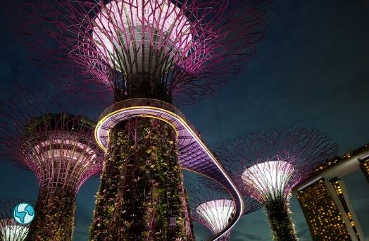 singapour nature environnement