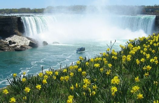 toronto chute niagara