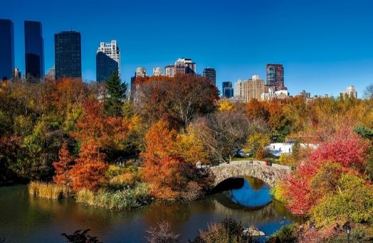 new york usa central park