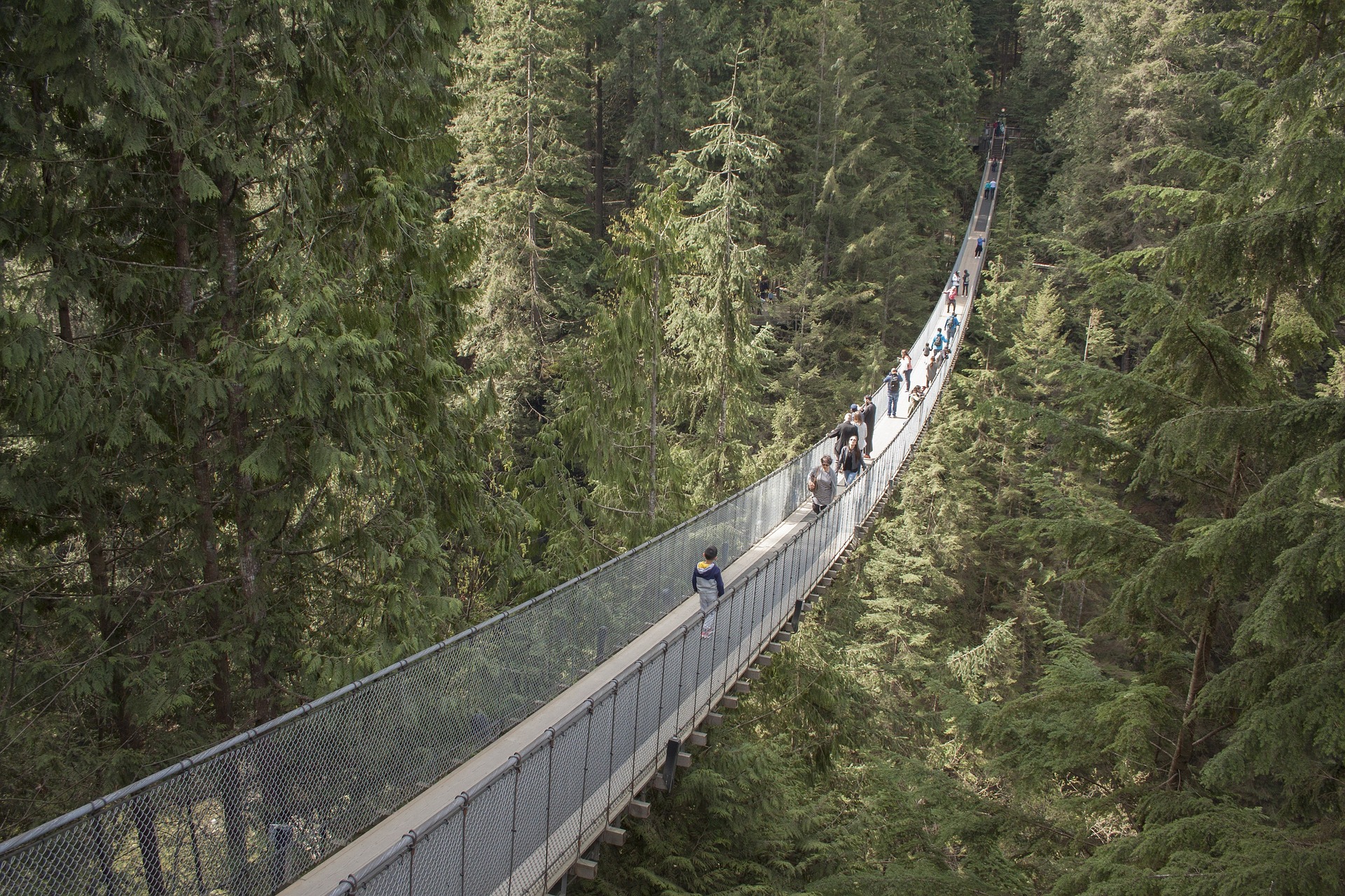 Travailler autrement au Canada-Pont suspendu de Capilano à Vancouver