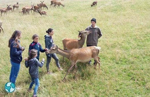  animaux sauvages colonie vacances