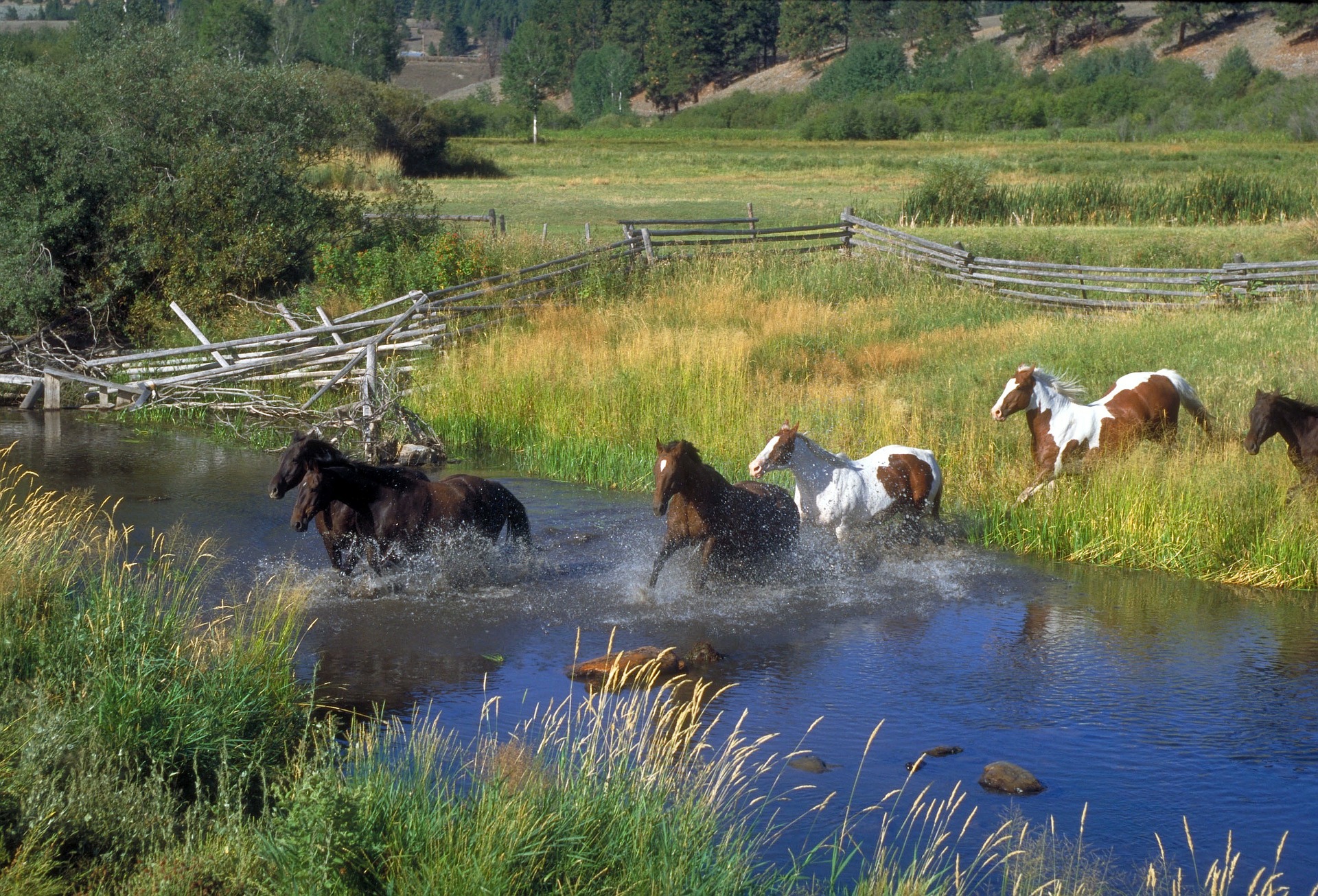 Travailler autrement au Canada-Programme Ranchstay au Canada