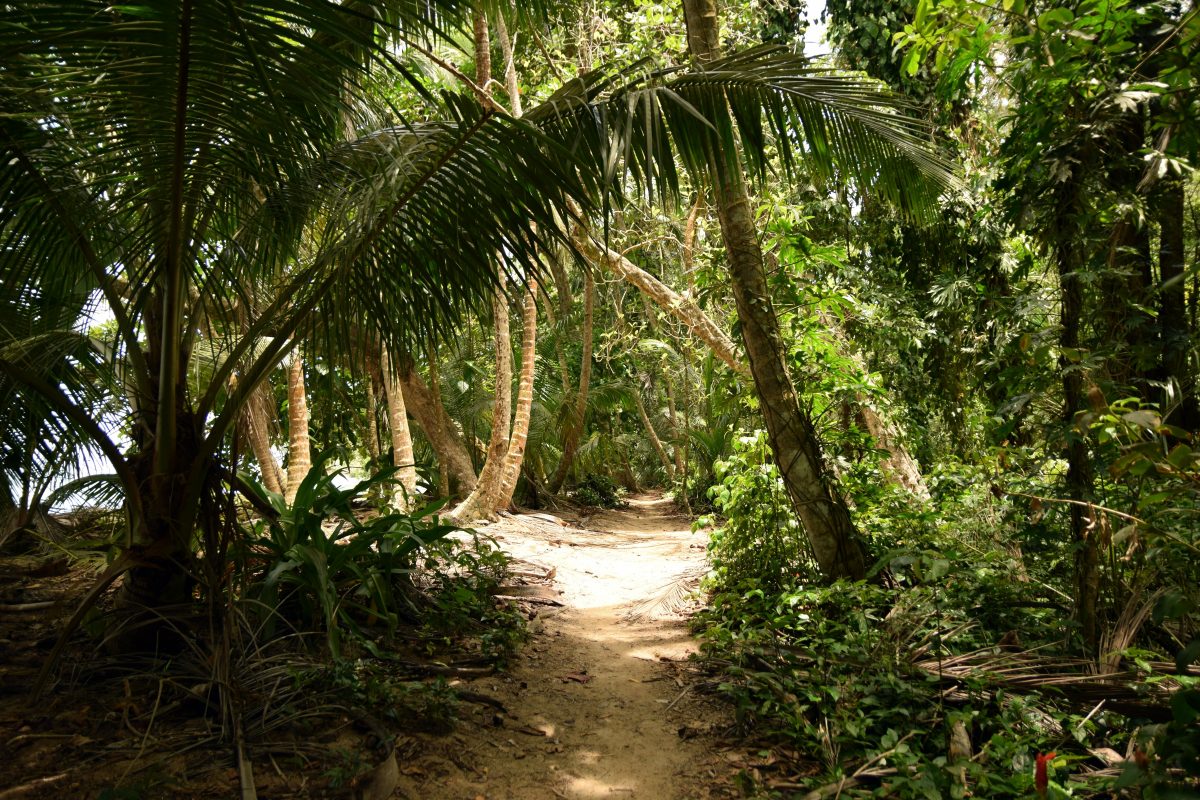 parc national corcovado costa rica