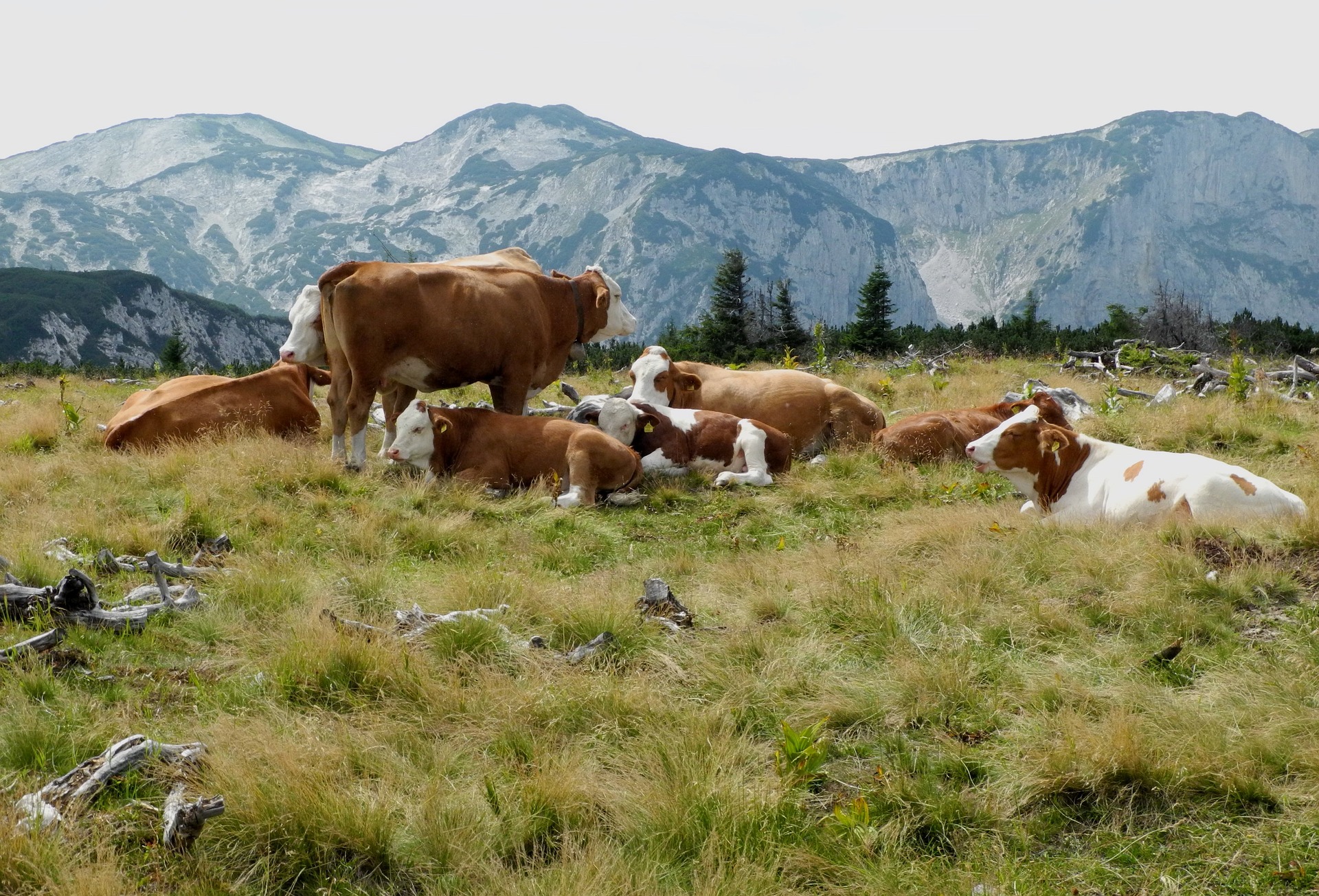 Travailler autrement au Canada-Programme Farmstay au Canada