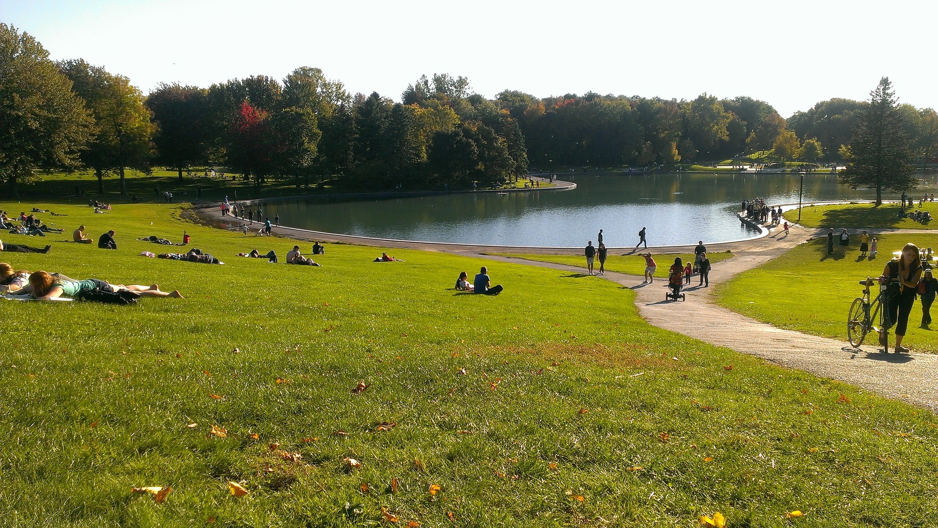 Travailler autrement au Canada-Le parc Mont-Royal de Montréal