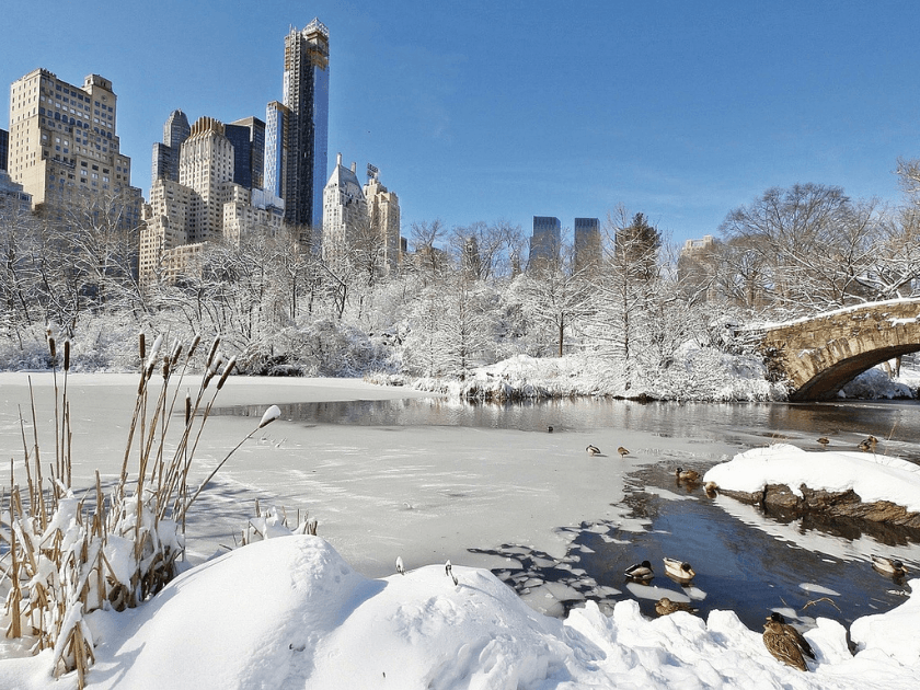 Voyage à New York en hiver