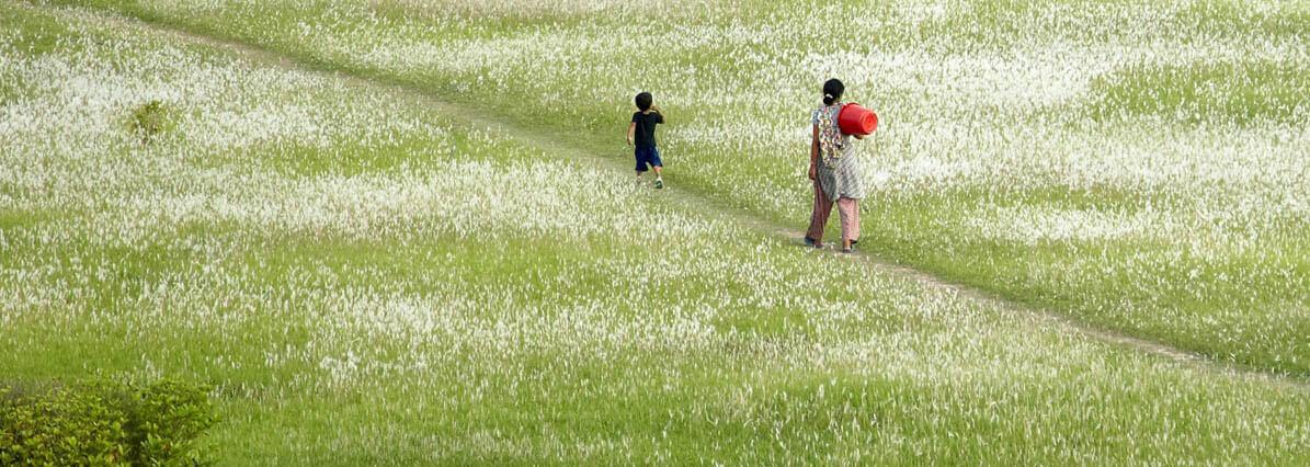 programme de développement durable 