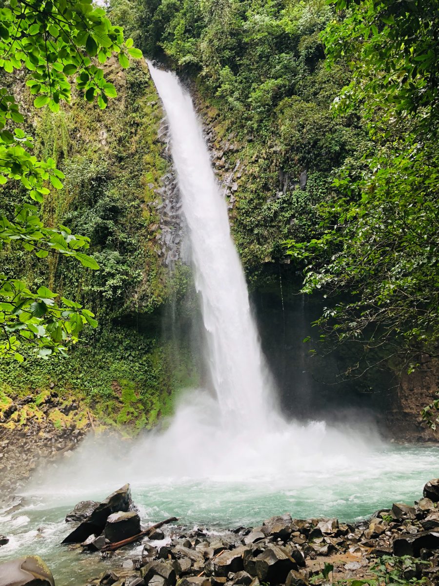 isla del cano costa rica