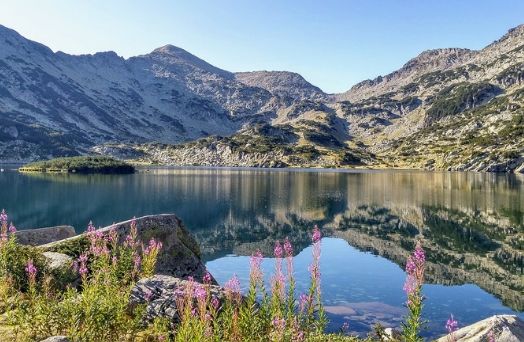 parc national pirin bulgarie