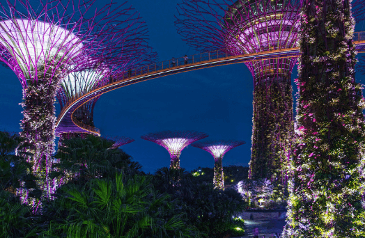  jardin baie singapour